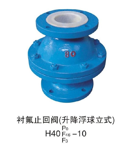 H40 Fluorine check valve