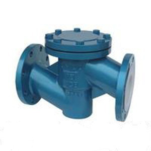 H41F46 Fluorine check valve