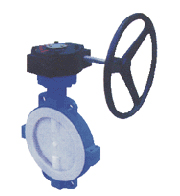 The clamp worm fluorine Butterfly Valve