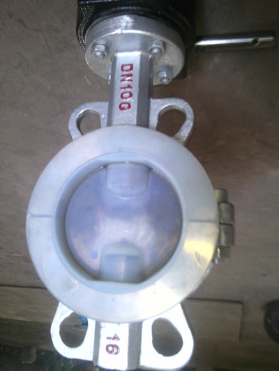 fluorine butterfly valve